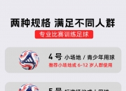 华体会-世俱杯赛事背后的商业赞助揭秘(2025美国世俱杯)
