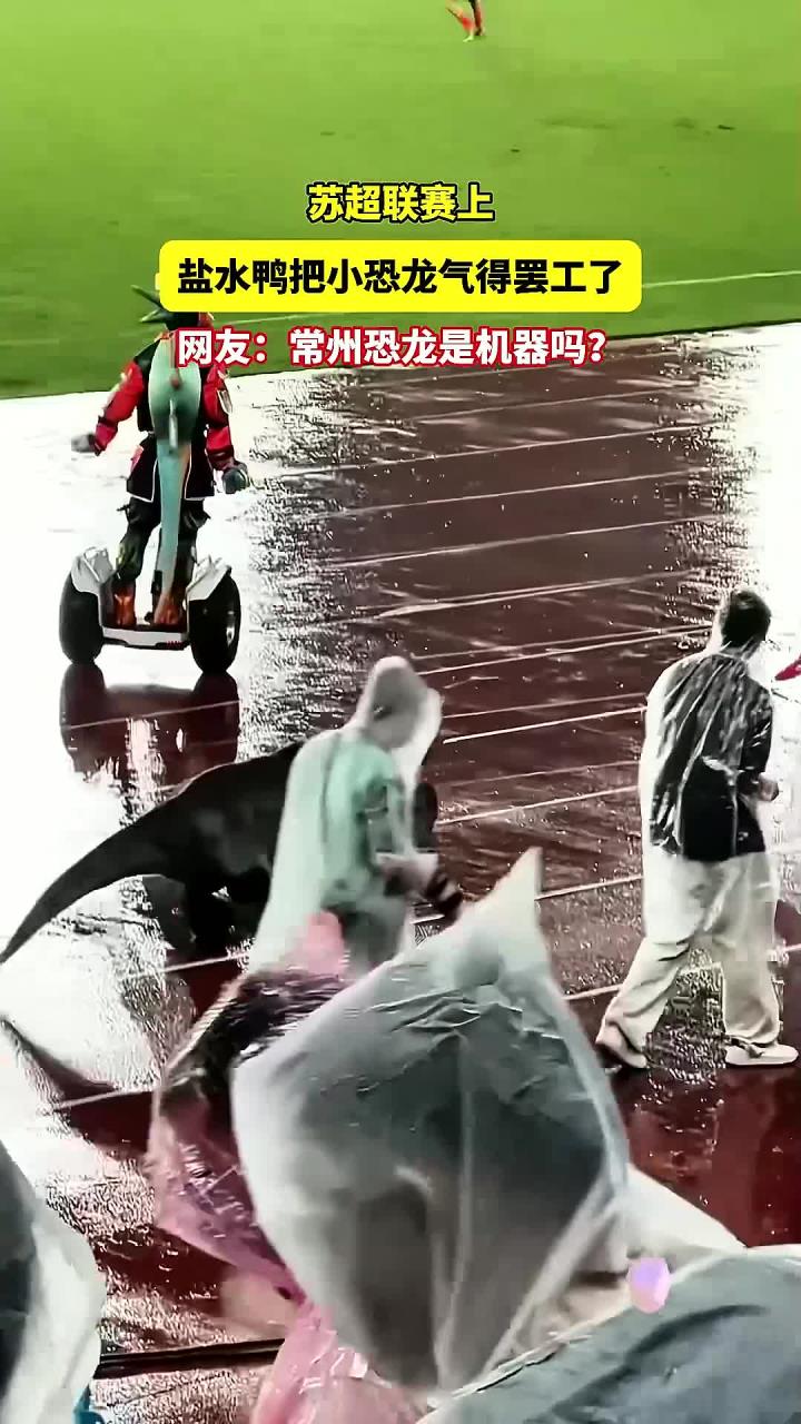 苏超中常州输给南京，小恐龙当场气晕被工作人员抬下场的简单介绍