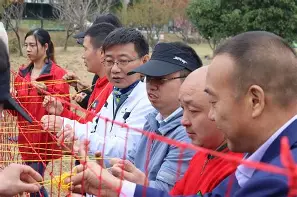 科索沃队迈向胜利之路